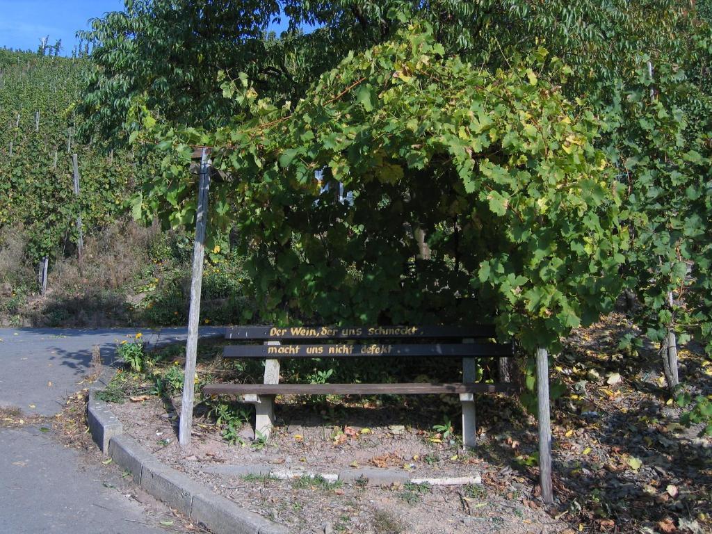 מלון Kröv Weinfelderhof מראה חיצוני תמונה